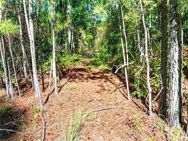 0.5 Acres of Residential Land for Sale in Sparta, Georgia