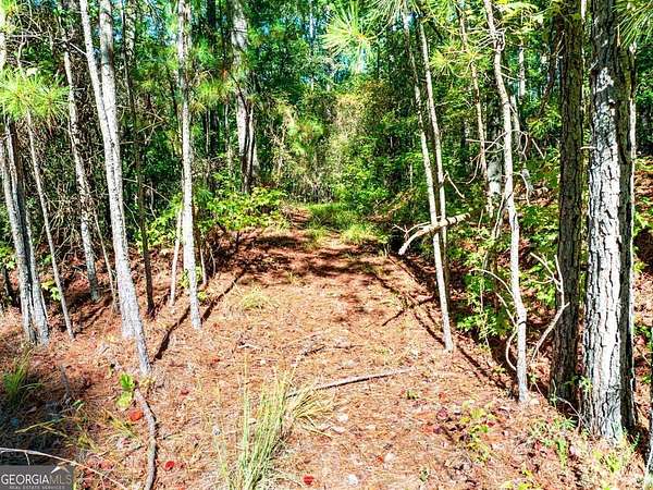 0.5 Acres of Residential Land for Sale in Sparta, Georgia