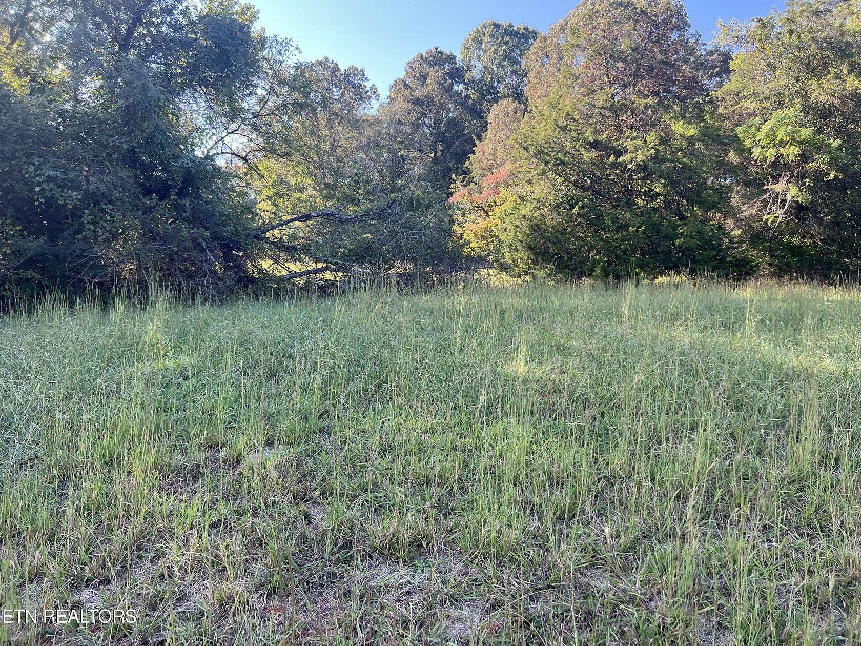 0.98 Acres of Residential Land for Sale in Decatur, Tennessee