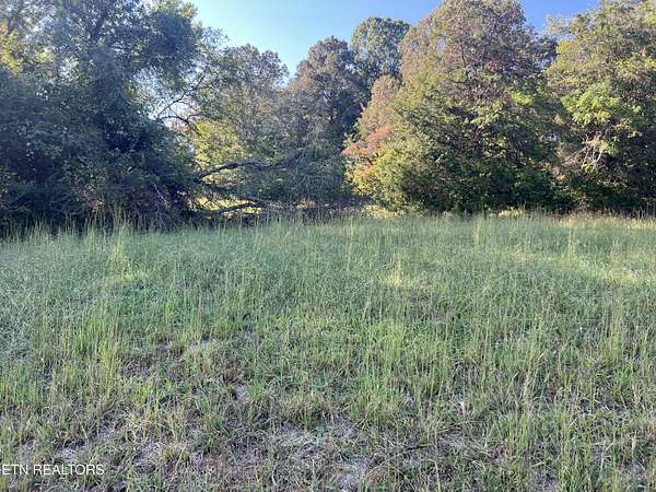 0.98 Acres of Residential Land for Sale in Decatur, Tennessee