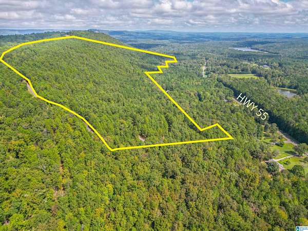 53 Acres of Land for Sale in Sterrett, Alabama