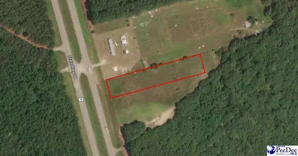 0.98 Acres of Residential Land for Sale in Blenheim, South Carolina
