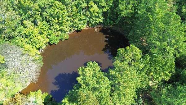 21 Acres of Agricultural Land for Sale in Crockett, Texas