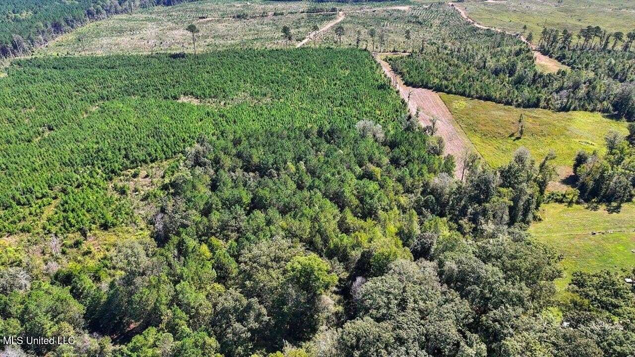 5 Acres of Residential Land for Sale in Pelahatchie, Mississippi