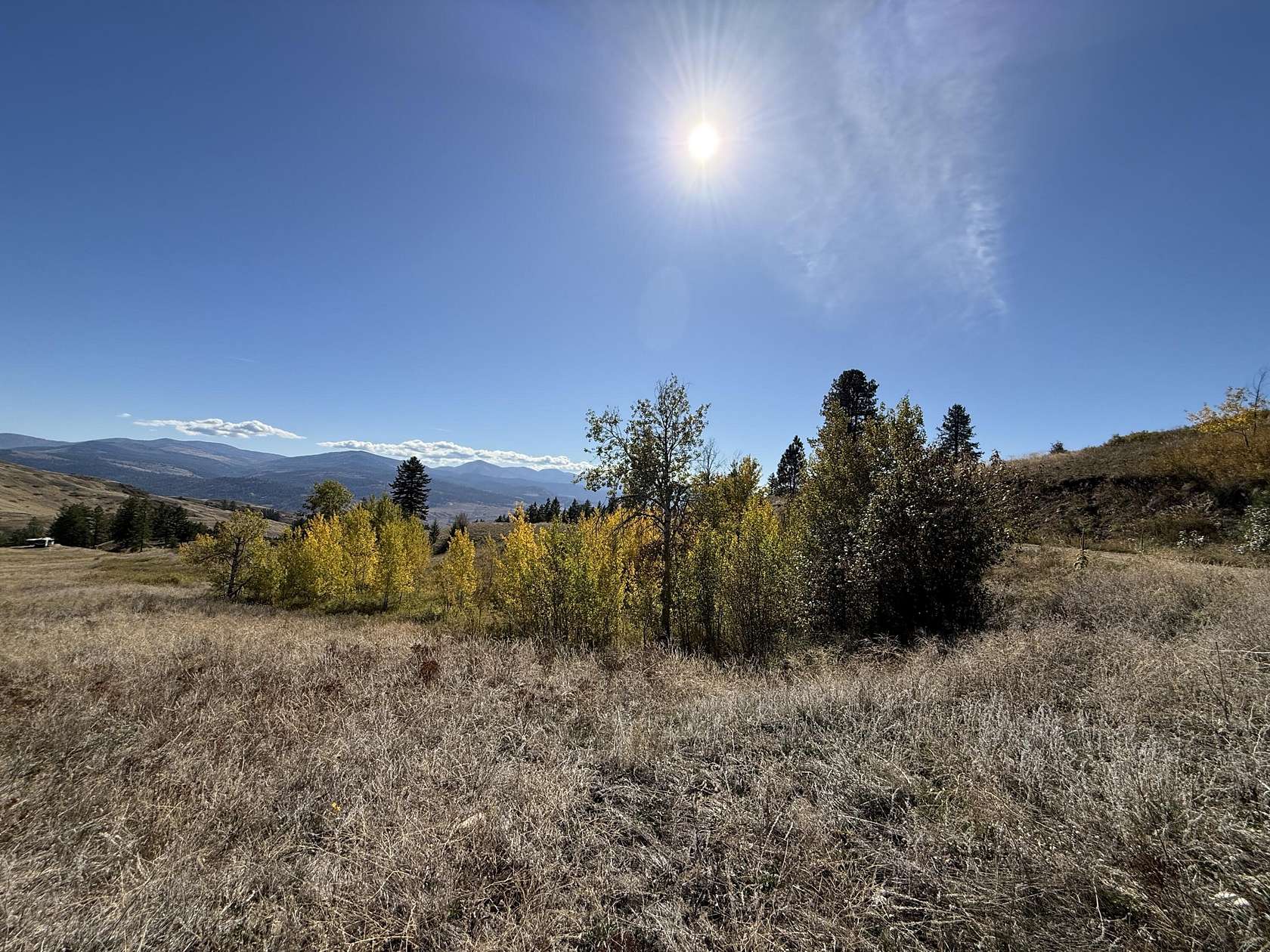 80.6 Acres of Land for Sale in Curlew, Washington