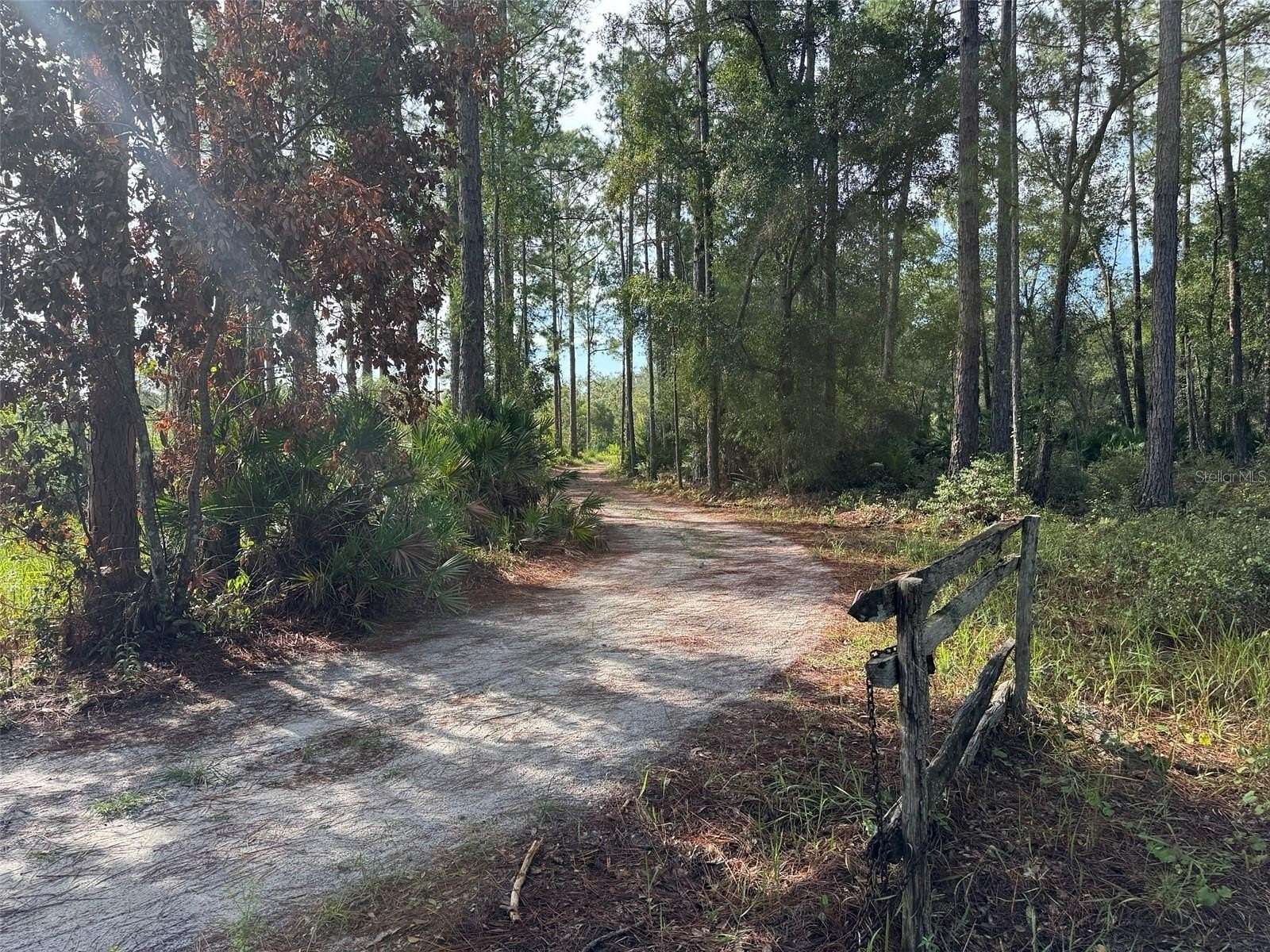 6 Acres of Recreational Land for Sale in Paisley, Florida