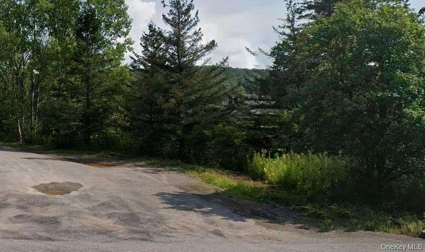 8.23 Acres of Land for Sale in Andes, New York