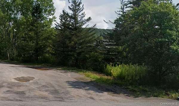 8.23 Acres of Land for Sale in Andes, New York