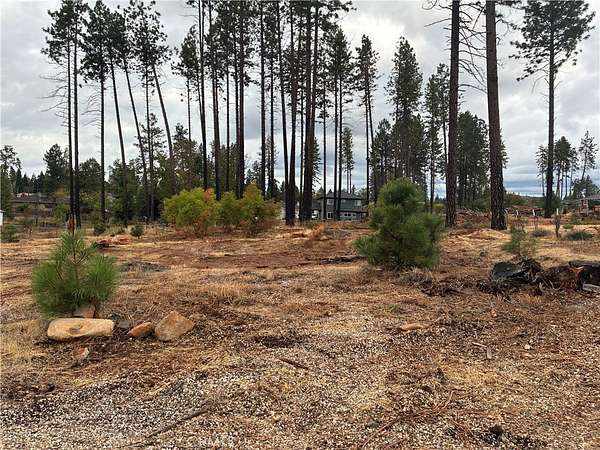 0.33 Acres of Residential Land for Sale in Paradise, California