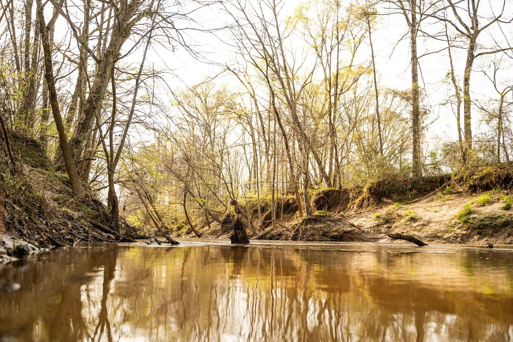 509 Acres of Recreational Land for Sale in Eupora, Mississippi
