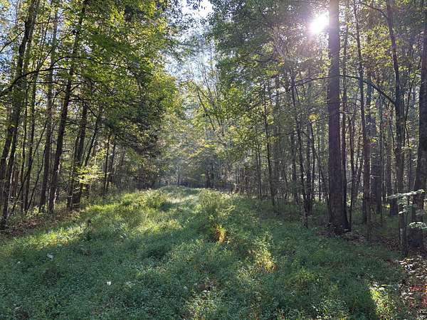 509 Acres of Recreational Land for Sale in Eupora, Mississippi