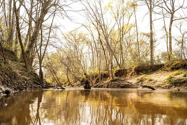 509 Acres of Recreational Land for Sale in Eupora, Mississippi