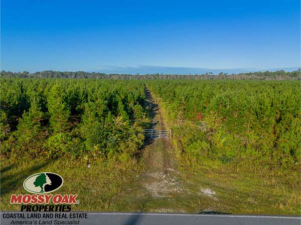 168 Acres of Recreational Land for Sale in Waycross, Georgia