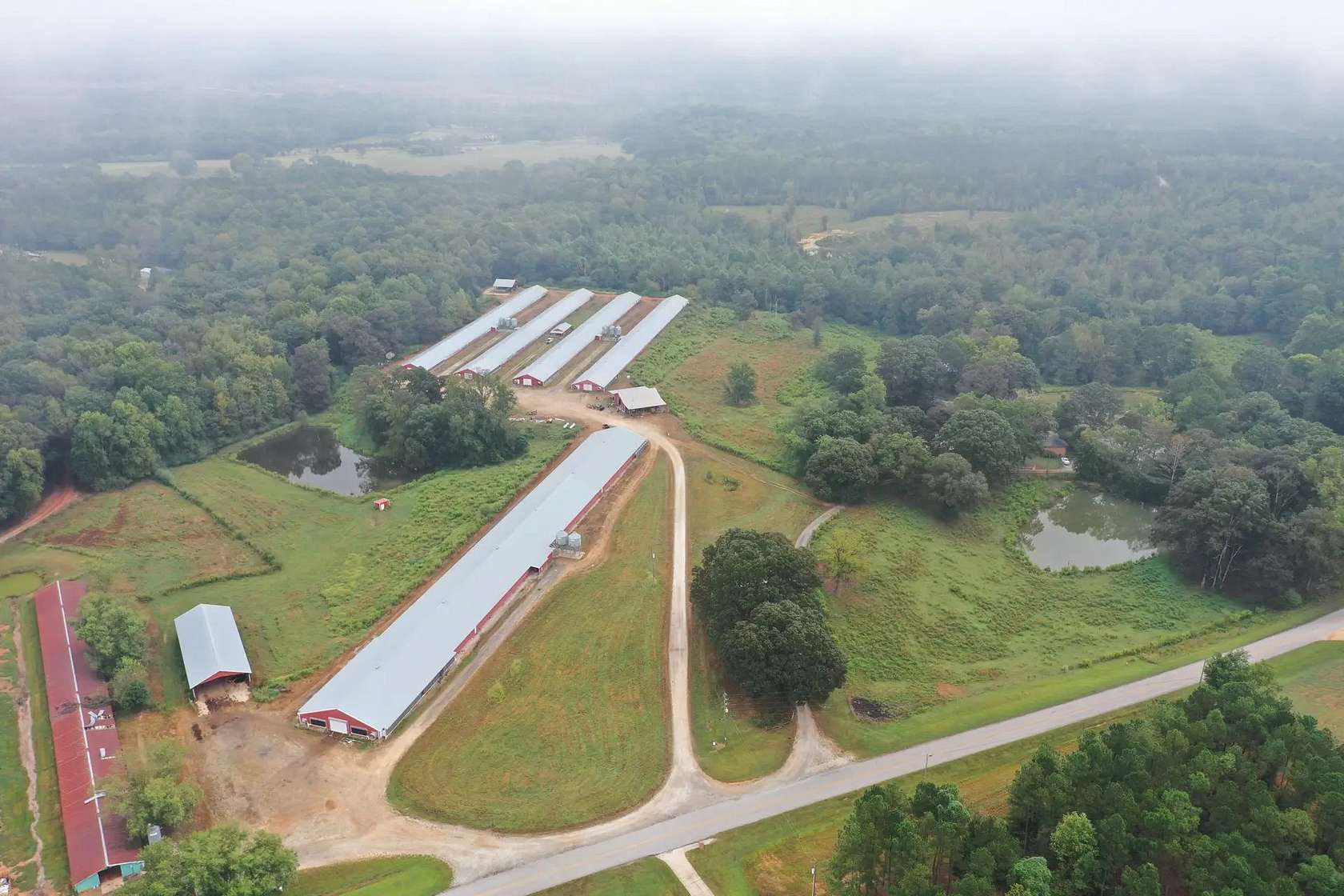 21 Acres of Agricultural Land for Sale in Franklin, Georgia