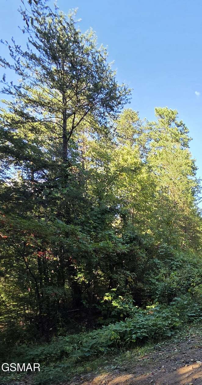 0.34 Acres of Residential Land for Sale in Sevierville, Tennessee