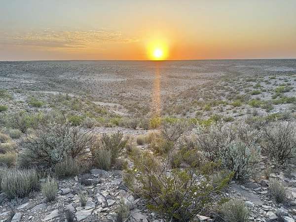 202 Acres of Land for Sale in Dryden, Texas