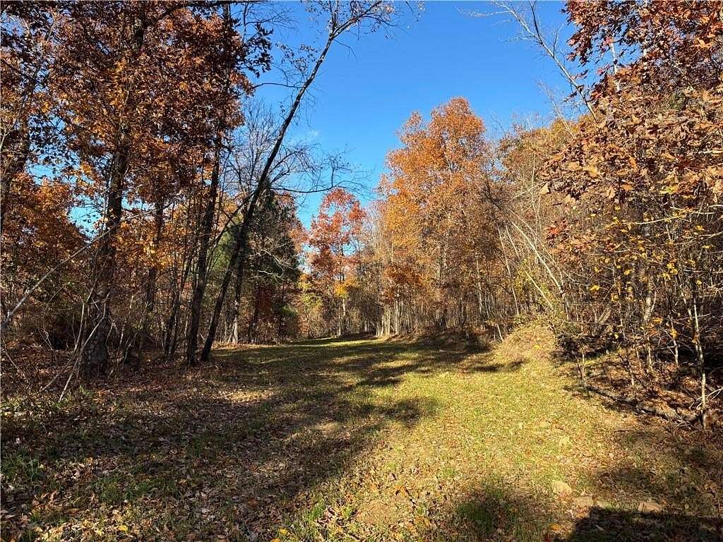 55 Acres of Recreational Land for Sale in Pettigrew, Arkansas