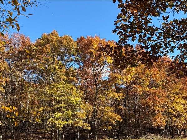 55 Acres of Recreational Land for Sale in Pettigrew, Arkansas