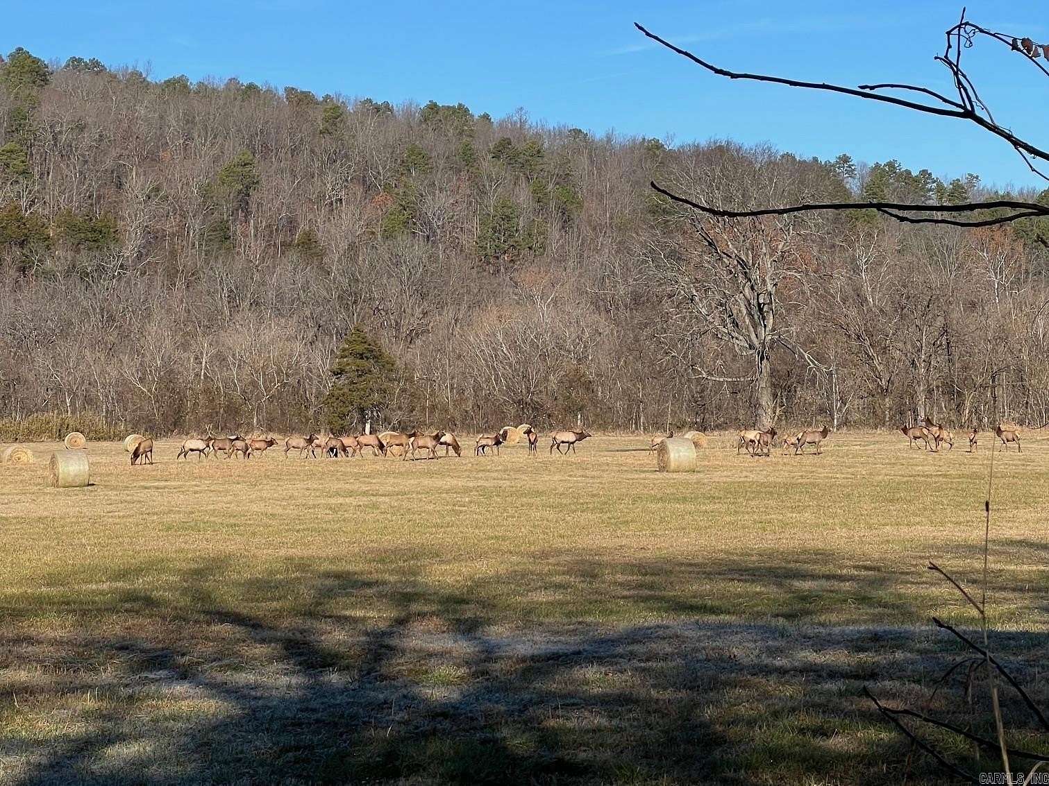 10 Acres of Land for Sale in Marshall, Arkansas