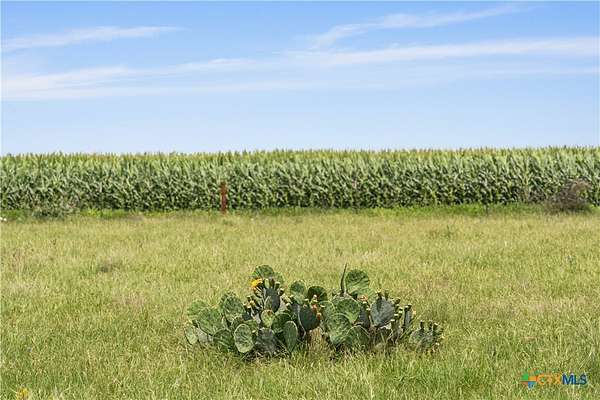 120 Acres of Agricultural Land for Sale in Moody, Texas