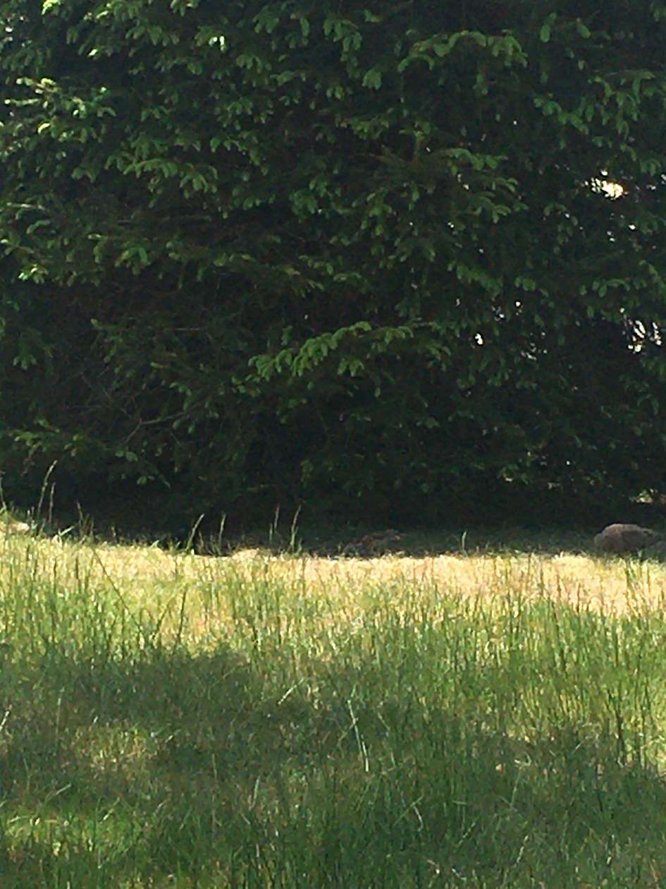 0.43 Acres of Land for Sale in Bayville, New Jersey