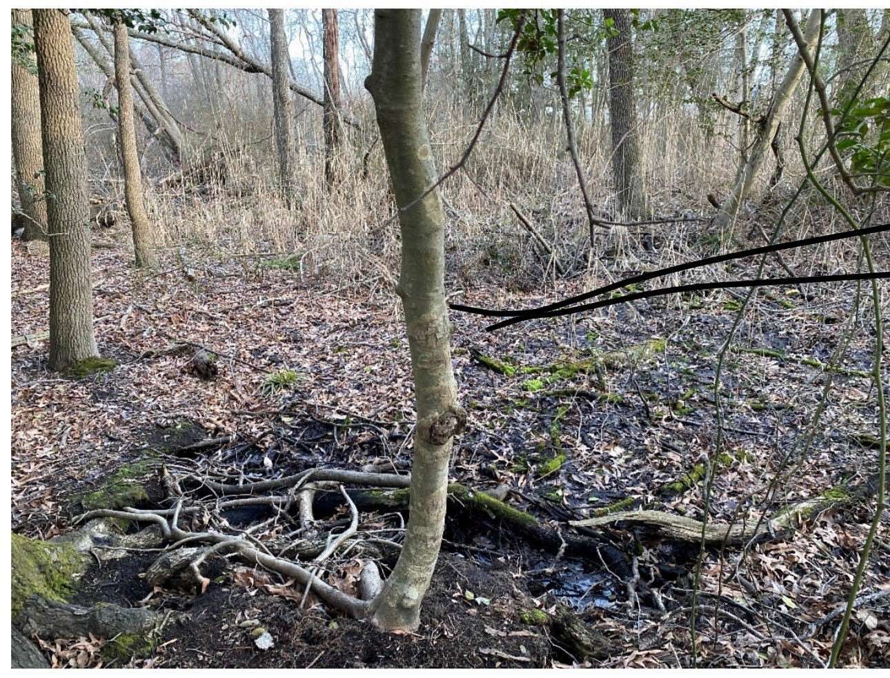 0.43 Acres of Land for Sale in Bayville, New Jersey