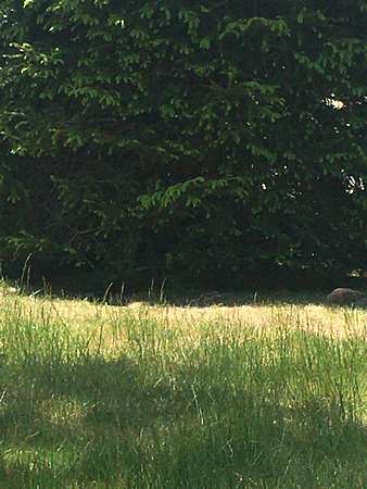 0.43 Acres of Land for Sale in Bayville, New Jersey