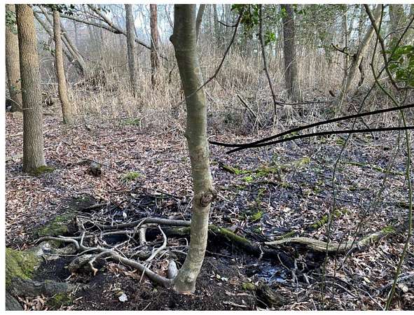 0.43 Acres of Land for Sale in Bayville, New Jersey