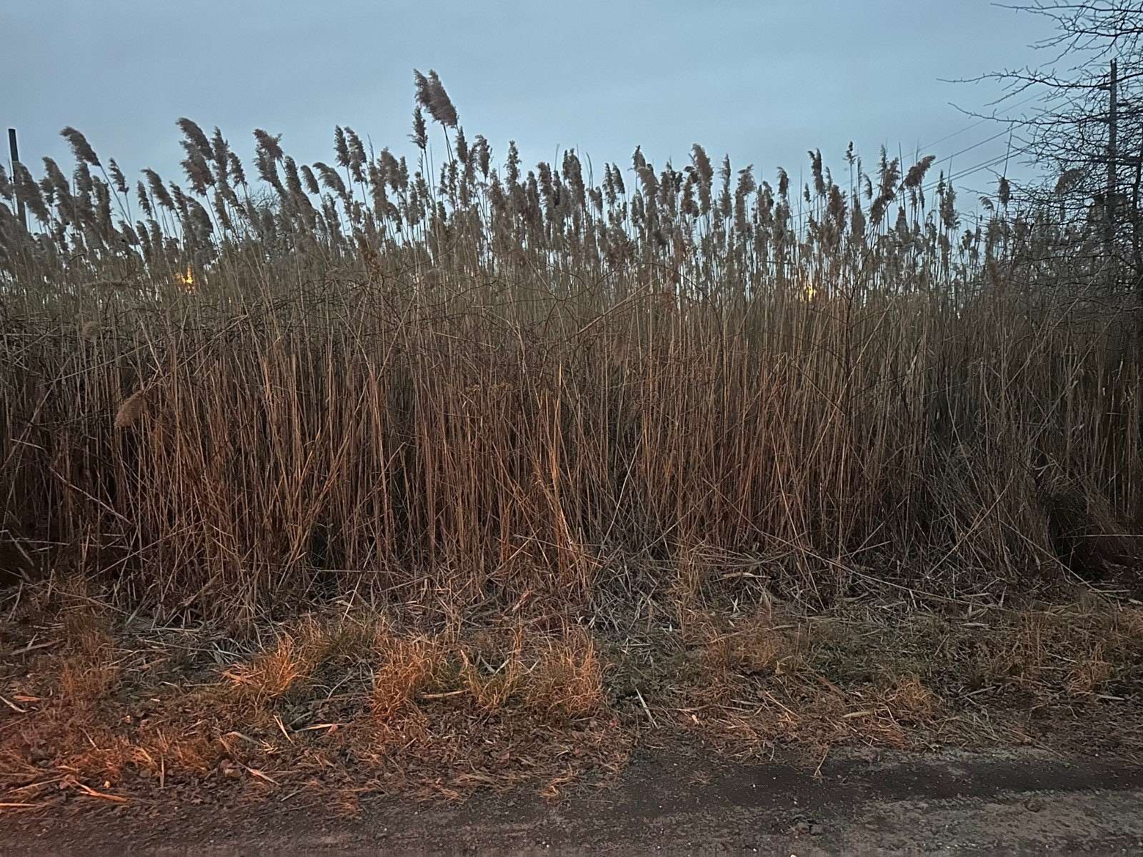 0.49 Acres of Land for Sale in Brick, New Jersey