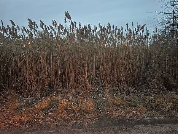 0.49 Acres of Land for Sale in Brick, New Jersey