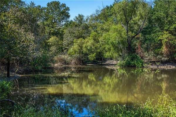19 Acres of Recreational Land for Sale in Franklin, Texas