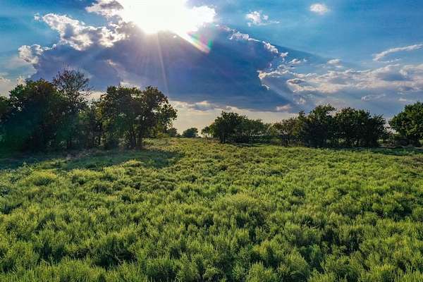 100 Acres of Agricultural Land for Sale in Perrin, Texas