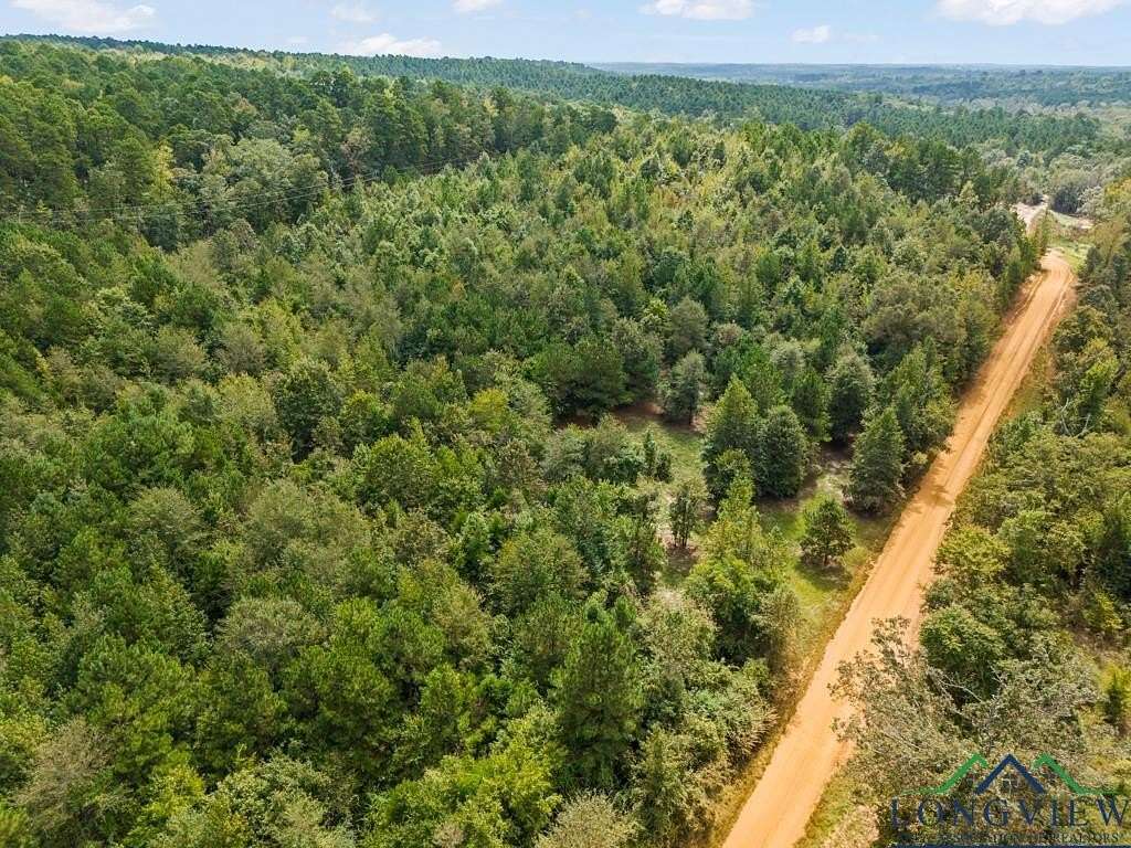 28 Acres of Recreational Land for Sale in Hughes Springs, Texas