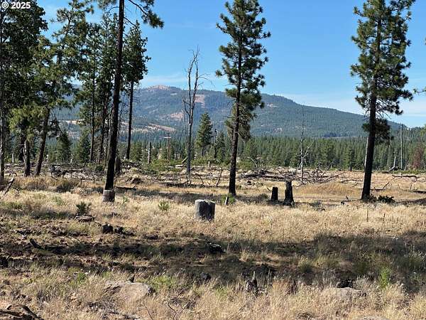 10 Acres of Residential Land for Sale in Goldendale, Washington