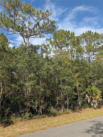 1 Acre of Residential Land for Sale in Homosassa, Florida