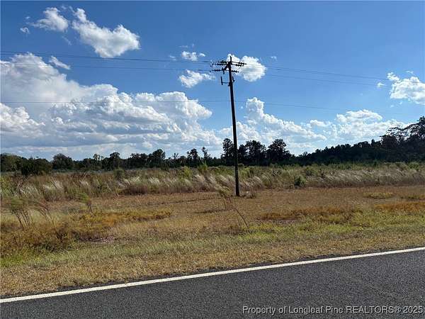 23.5 Acres of Agricultural Land for Sale in Maxton, North Carolina