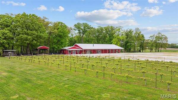 9 Acres of Improved Mixed-Use Land for Sale in Chesterfield, Illinois