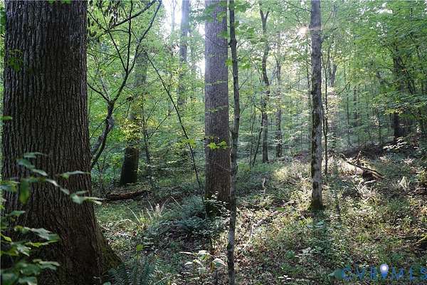 162 Acres of Recreational Land for Sale in Boydton, Virginia