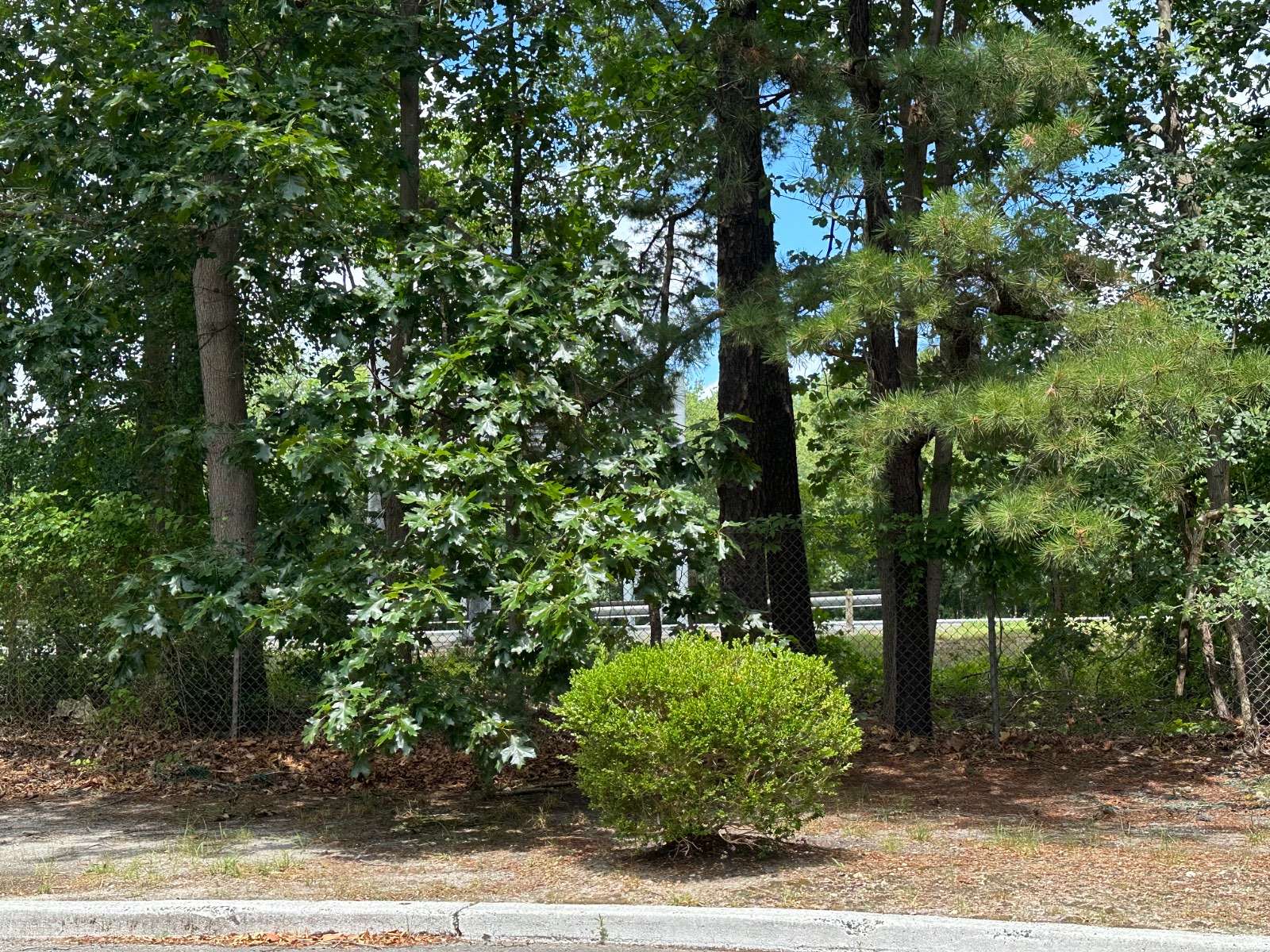 4 Acres of Commercial Land for Sale in Jackson Township, New Jersey