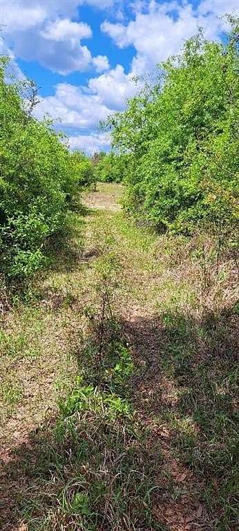 43.6 Acres of Agricultural & Residential Land for Sale in Semmes, Alabama