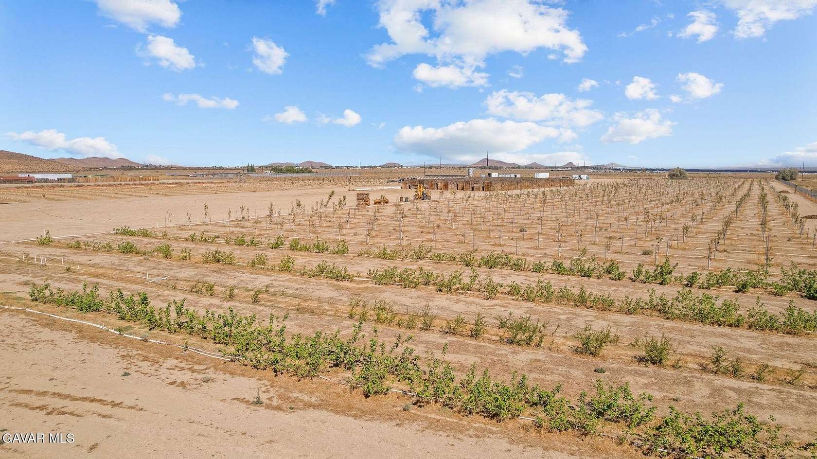 20.3 Acres of Agricultural Land for Sale in Mojave, California