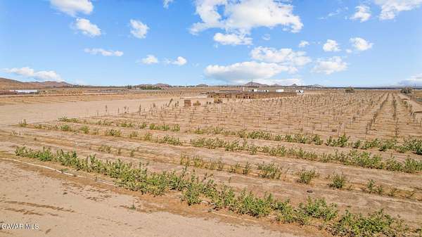 20.3 Acres of Agricultural Land for Sale in Mojave, California