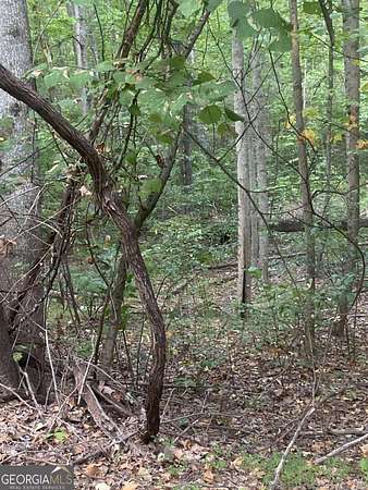 2 Acres of Land for Sale in Ranger, Georgia