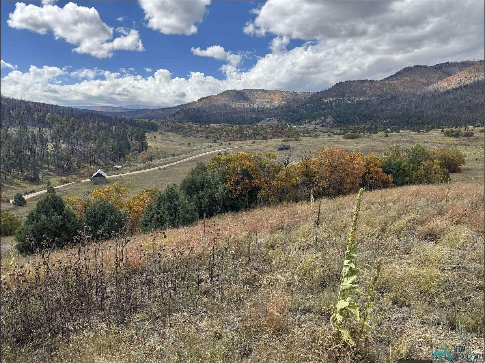 21.7 Acres of Land for Sale in Chacon, New Mexico