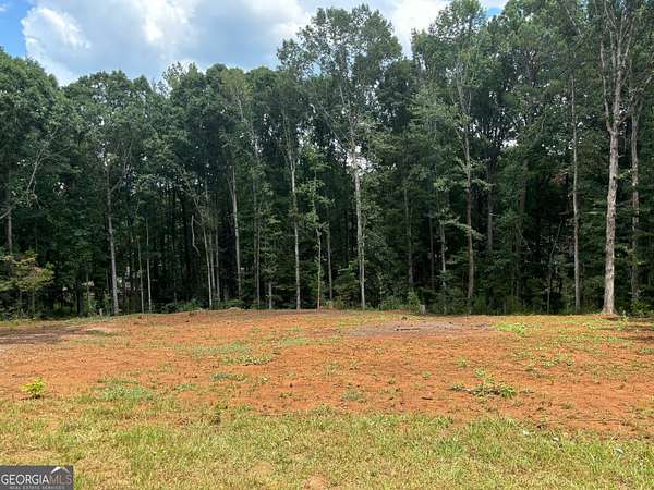 Residential Land for Sale in Thomaston, Georgia