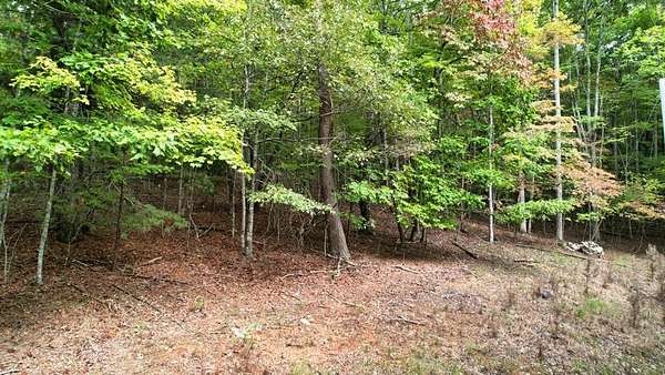 4.57 Acres of Residential Land for Sale in Morganton, Georgia