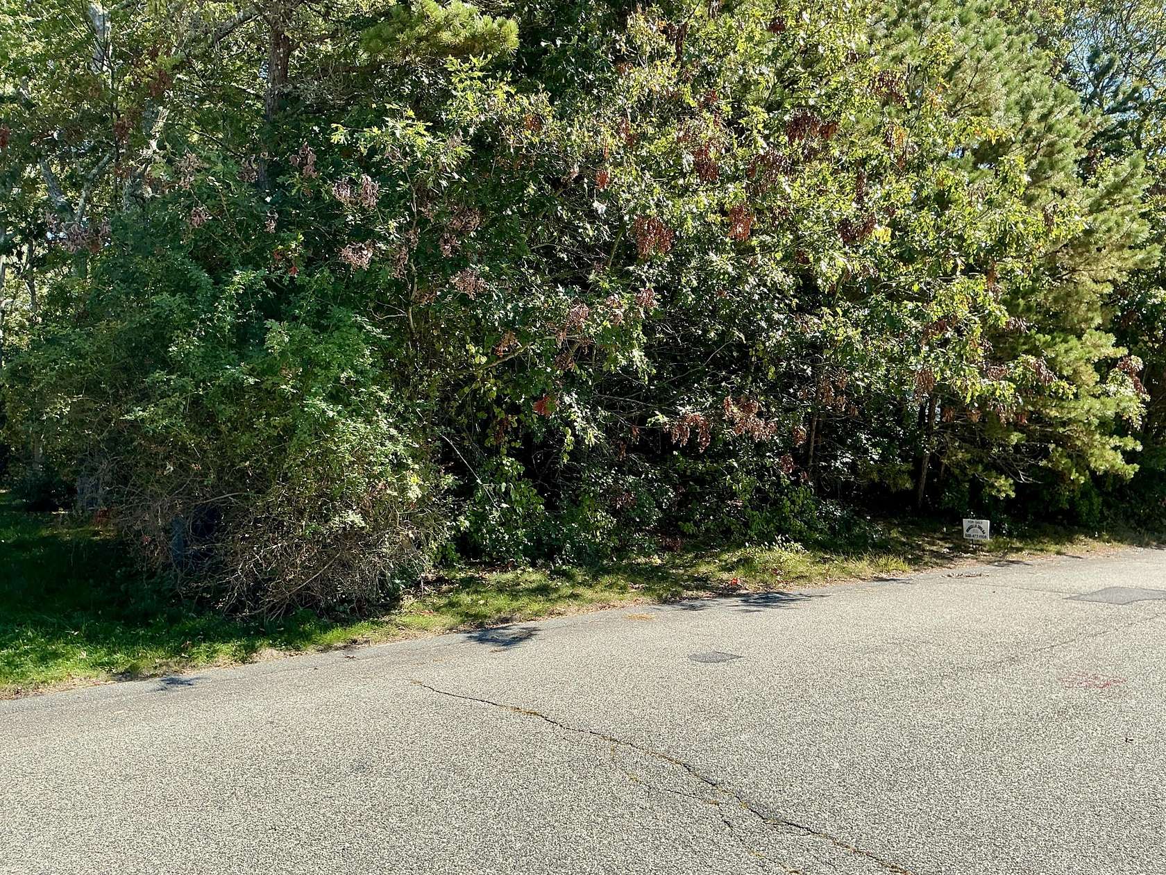 0.31 Acres of Residential Land for Sale in Mashpee, Massachusetts