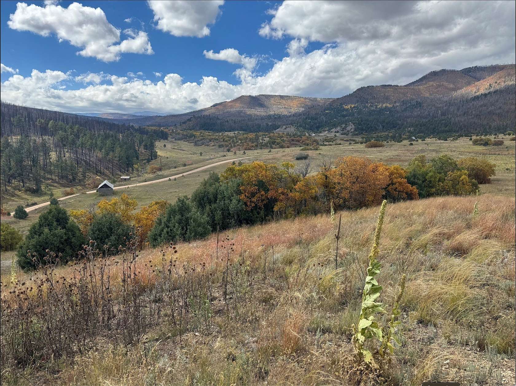 21.7 Acres of Land for Sale in Chacon, New Mexico