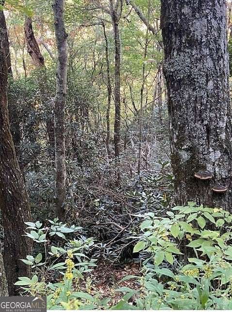 0.57 Acres of Residential Land for Sale in Sky Valley, Georgia