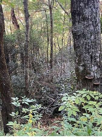 0.57 Acres of Residential Land for Sale in Sky Valley, Georgia